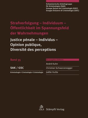 cover image of Strafverfolgung--Individuum--Öffentlichkeit im Spannungsfeld der Wahrnehmungen